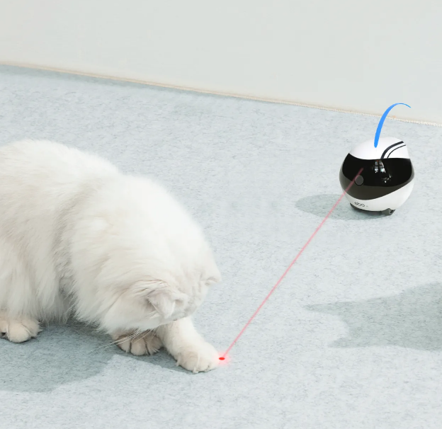 Ebo Air Pet Robot